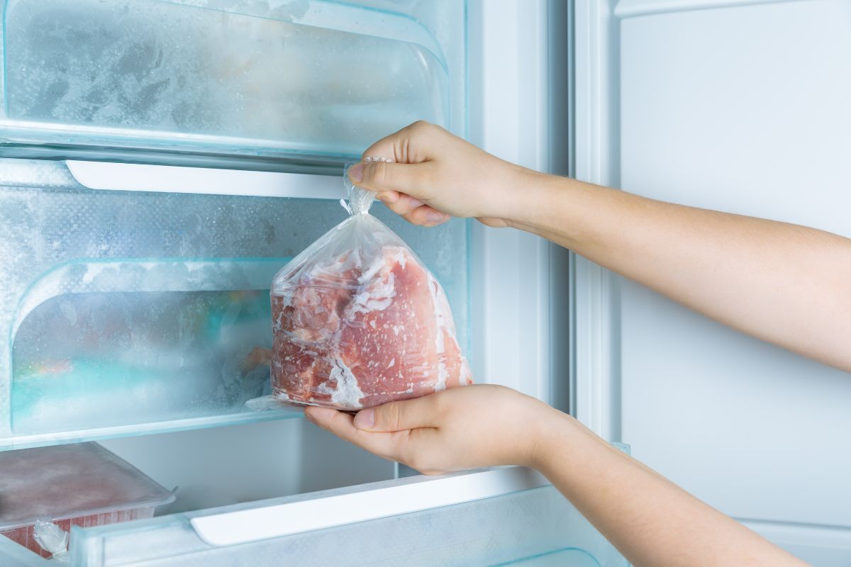 freezer dan daging beku